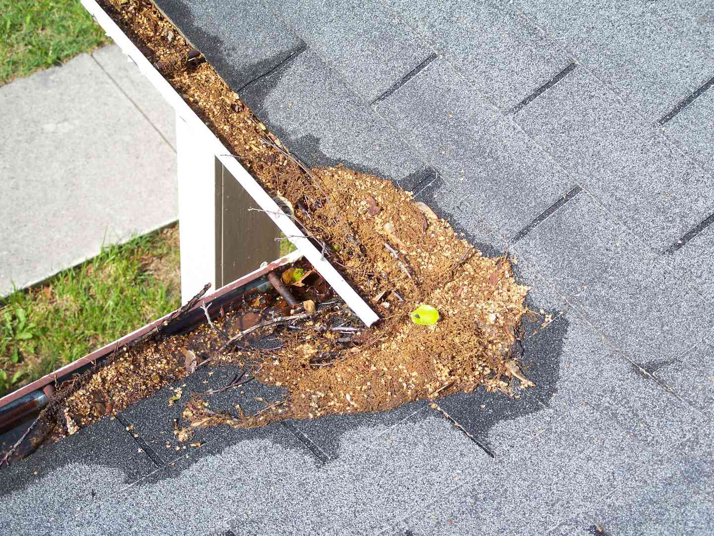 A roof valley with debris clogging the gutter system